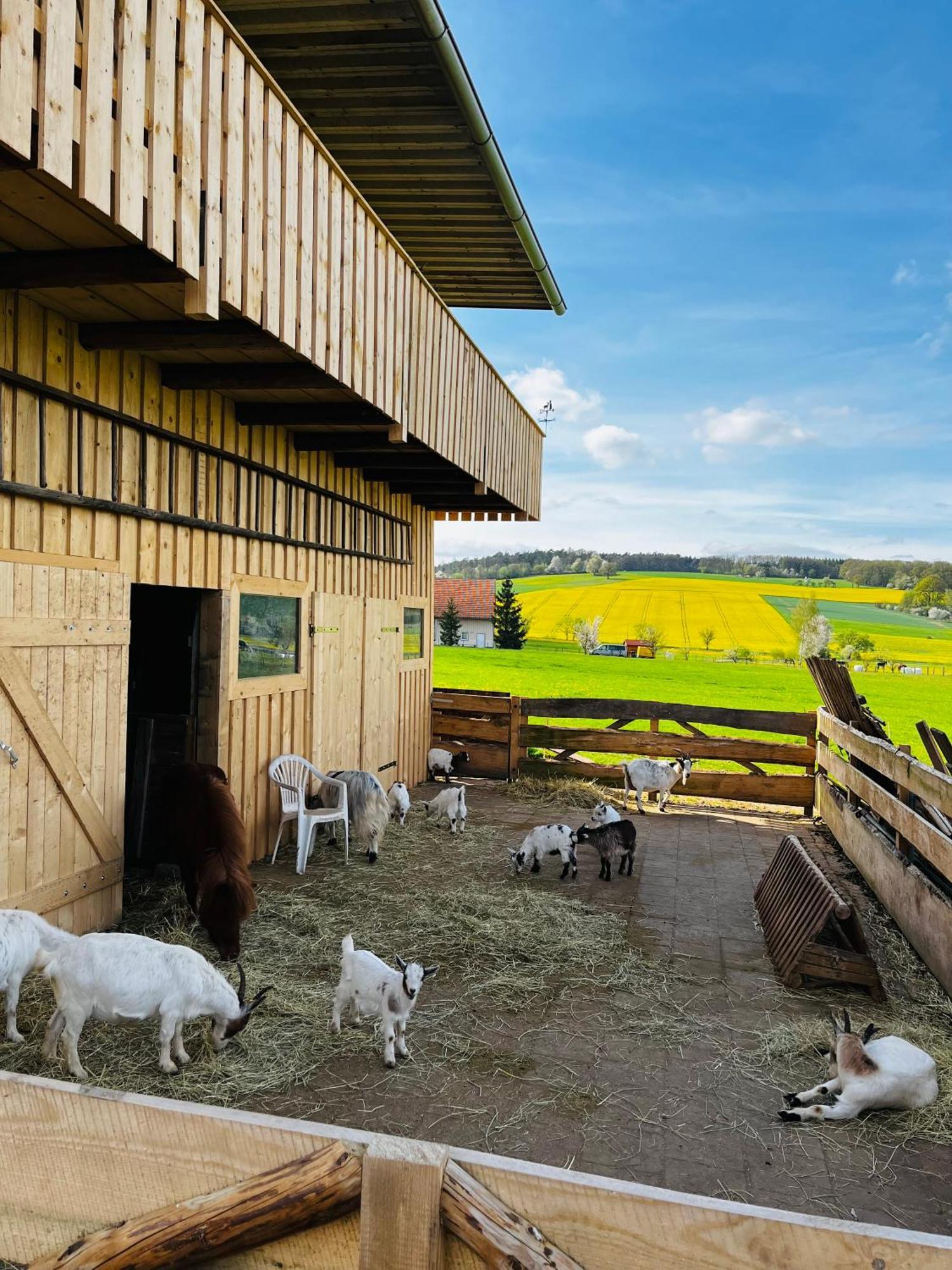 Ferienwohnung Peters Hünfeld Exterior foto