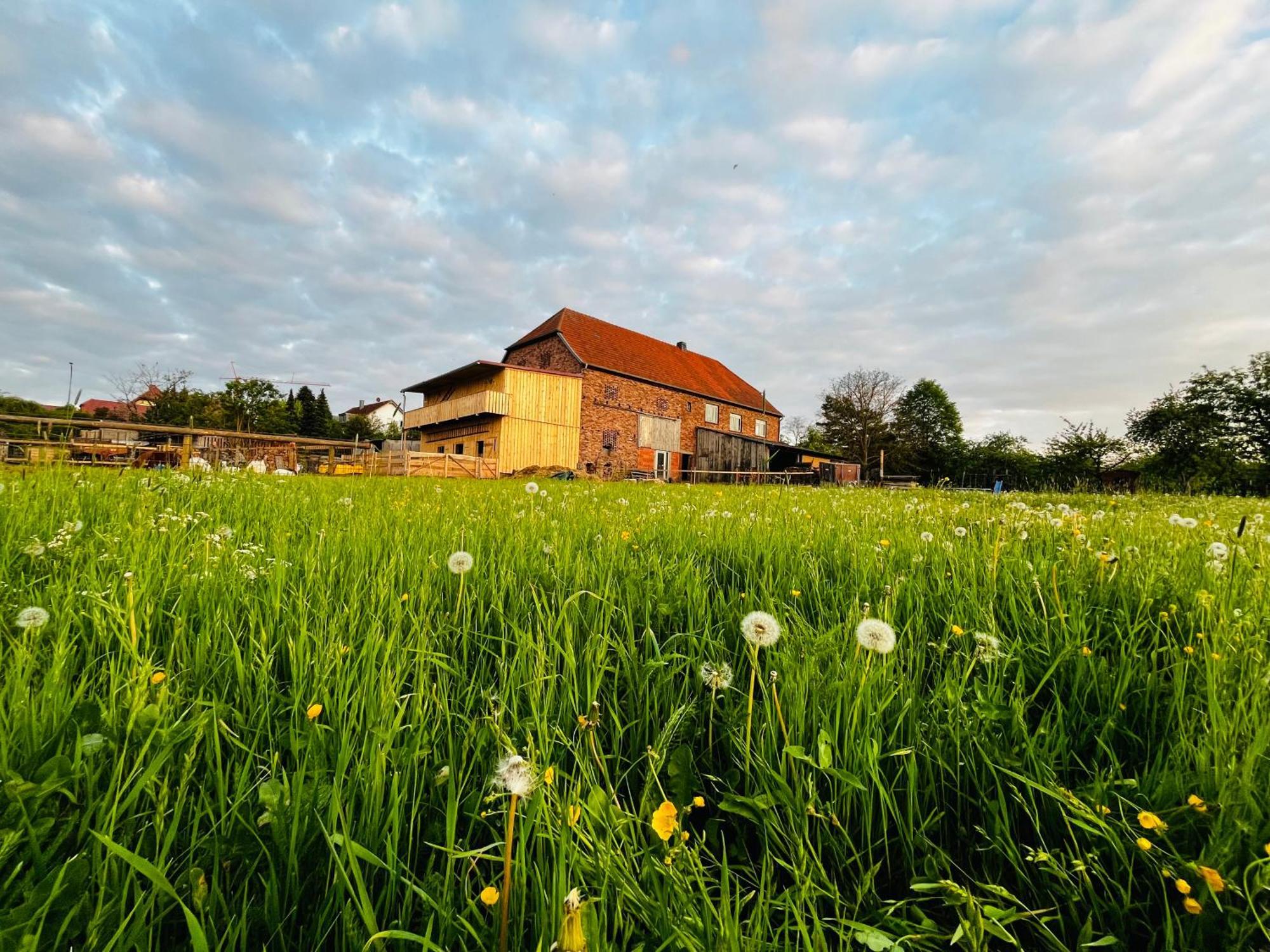 Ferienwohnung Peters Hünfeld Exterior foto